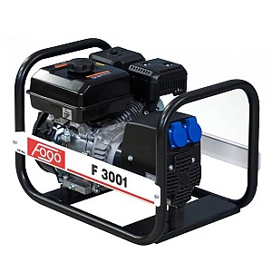 F3001