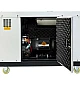 Дизельний генератор Malcomson ML10000-DE1S у кожусі  - фото 3