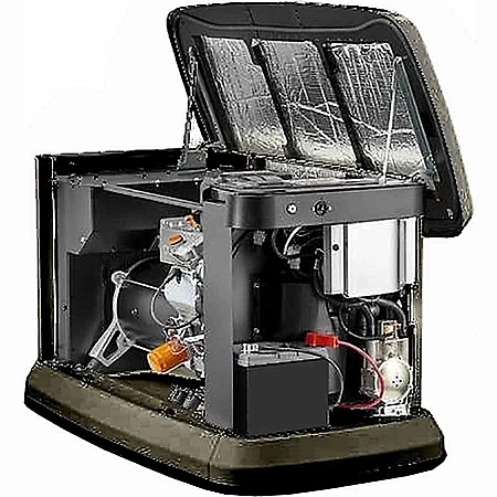 Газовый генератор PRAMAC GA20000 - фото 2