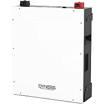 Аккумуляторная батарея Dyness A48100