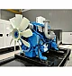 Дизельний генератор Darex Energy DE-220BDS  - фото 3