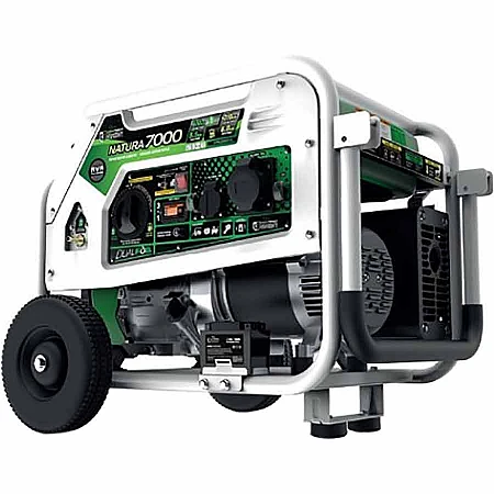 Газо-бензиновий генератор Genergy NATURA 7000 - фото 5