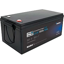 8S2P/BMS-100A