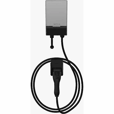 Зарядна станція EcoFlow PowerPulse 220 В