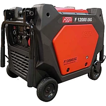 F12000 ISG