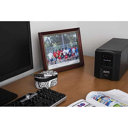 Джерело безперебійного живлення APC Smart-UPS 750VA/500W LCD USB SmartConnect 8xC13 - фото 5