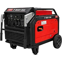 F8001 ISG