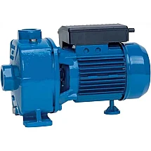 NBM 300
